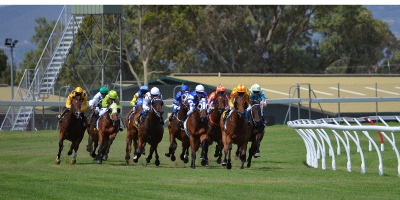 Quản lý tài chính